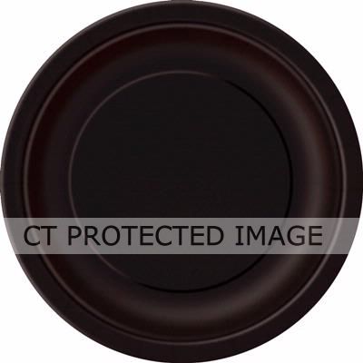  9 Inch Black Plates (pack quantity 16) 