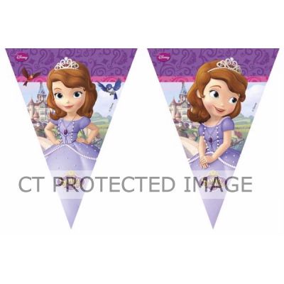 Sofia The First Triangle Flag Banner