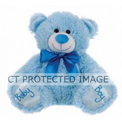 17 Inch Sitting Baby Boy Teddy