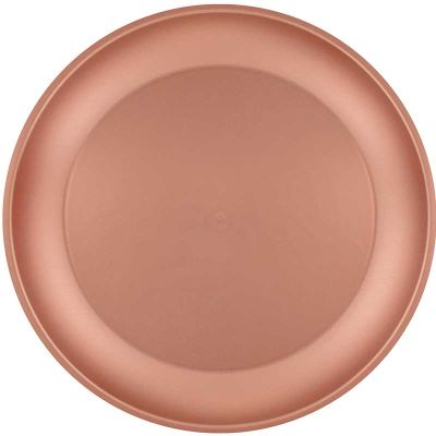 21cm Rose Gold Reusable Plate