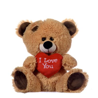 17 Inch Brown Bear With Red Heart