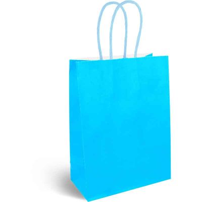 Neon Blue Bag With Handles 12s