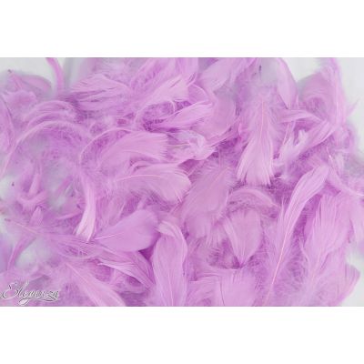 50g Assorted Pastel Lavender Feathers