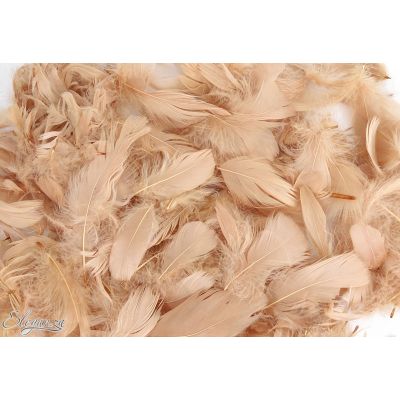 50g Assorted Natural Colour Feathers