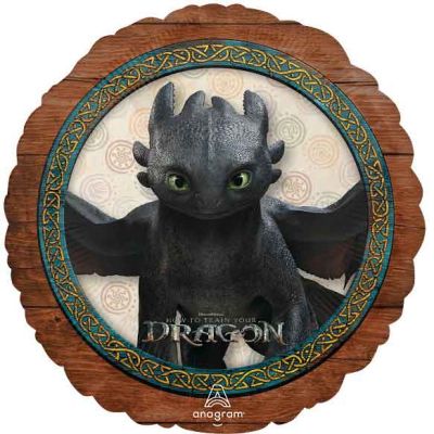 18 Inch How To Train Your Dragon Standard Foil Balloon