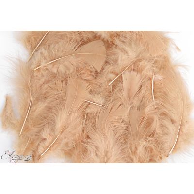 8g Assorted Natural Colour Feathers