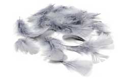 Balloon Feathers